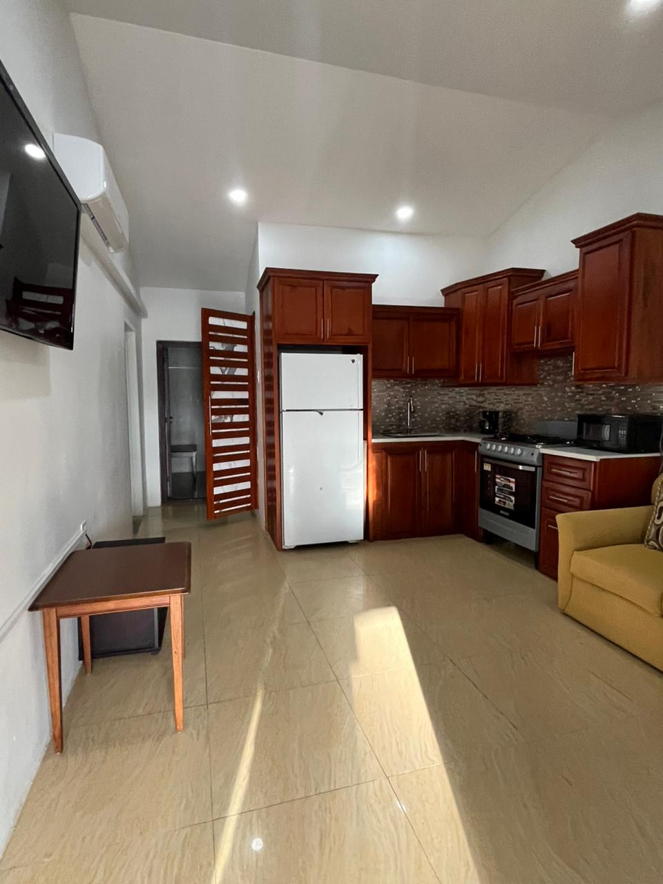 Open-plan kitchen and living area of a large one-bedroom apartment at Olympic Villas